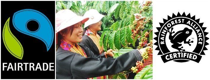 Read more about the article Parimad kohvioad – Fairtrade ja Rainforest Alliance sertifikaadiga kohvioad teadlikule kohvisõbrale